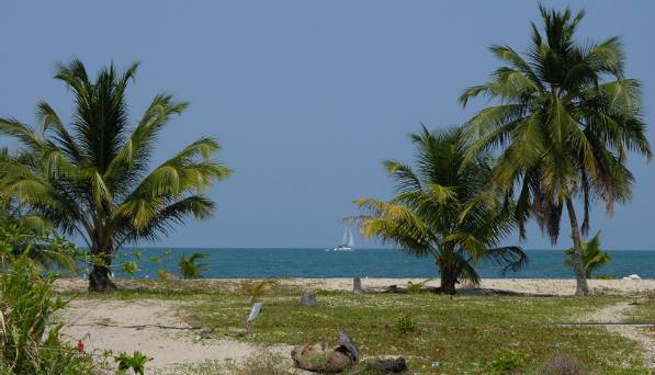 The coast of Placencia...