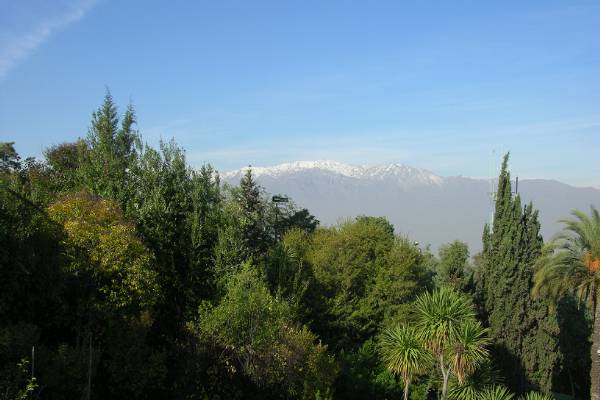 The Andes looming over Santiago