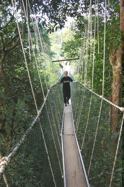 Canopy walkway