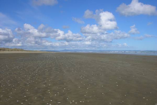 Ninety mile beach