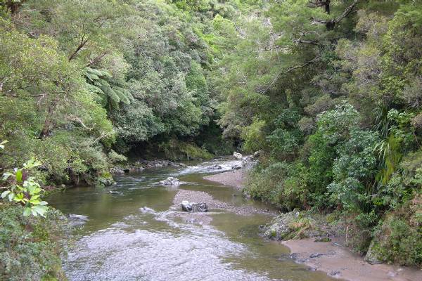 A Rivendell location in Kaitoke regional park