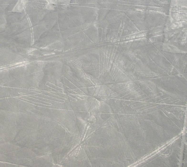 Nazca line condor